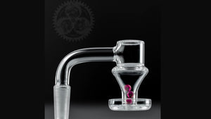 Toro Terp Taster V2